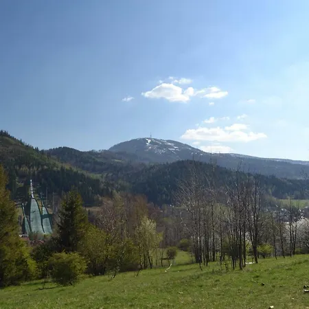 Goscinne U Joli Проживание в семье *
